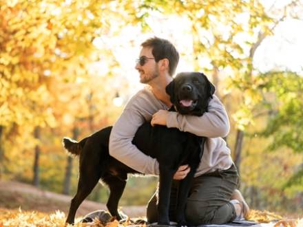 Aurora, IL dog attack injury lawyer