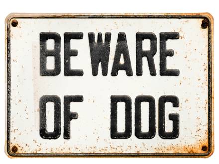 Will County, IL dog bite lawyer